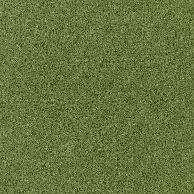 Purchase sample of 64937 Palermo Mohair Velvet, Grass by Schumacher Fabric