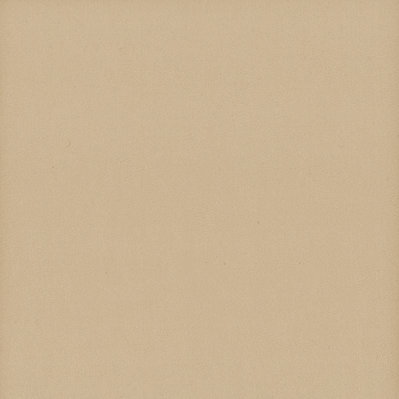 Sample ELBE-11 Elbert, Biscuit Beige Cream Stout Fabric