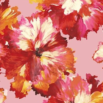 Find CB22511 Bristol Pink Floral by Carl Robinson Wallpaper