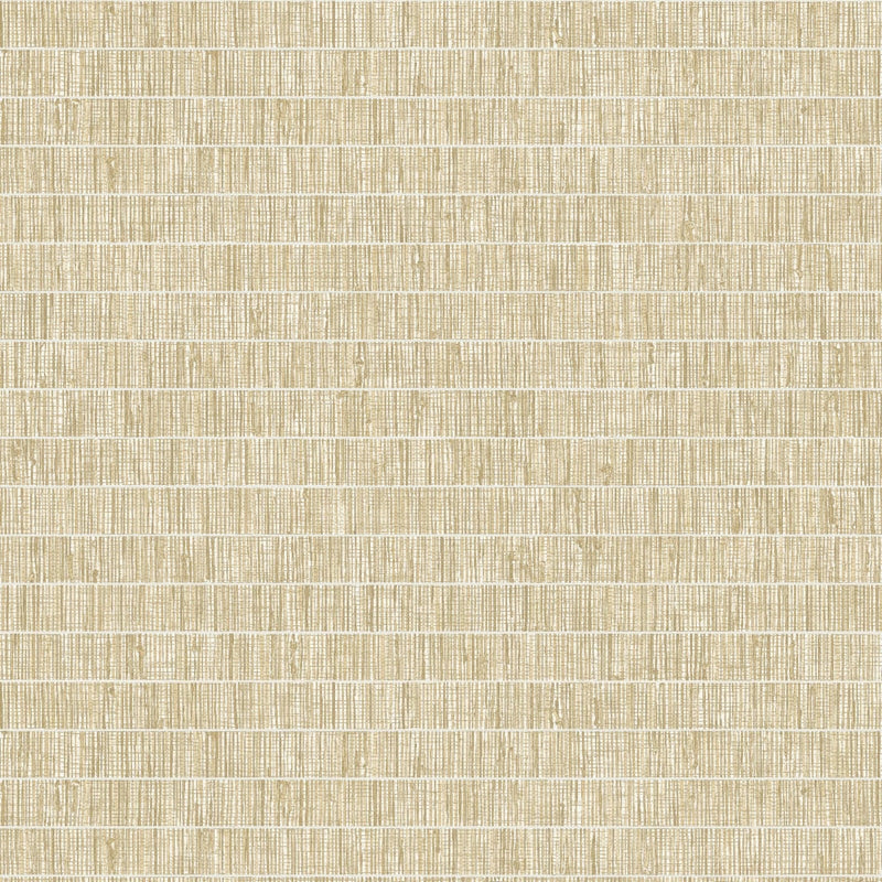 Shop TC70003 More Textures Blue Grass Band Golden Wheat by Seabrook Wallpaper