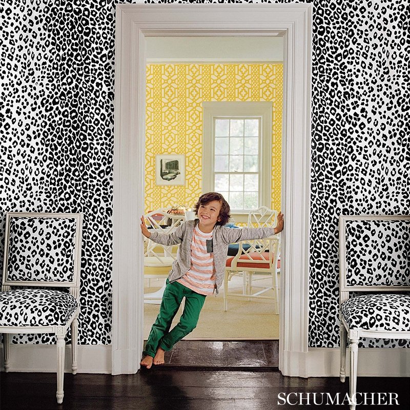 Find 175720 Iconic Leopard Ink By Schumacher Fabric