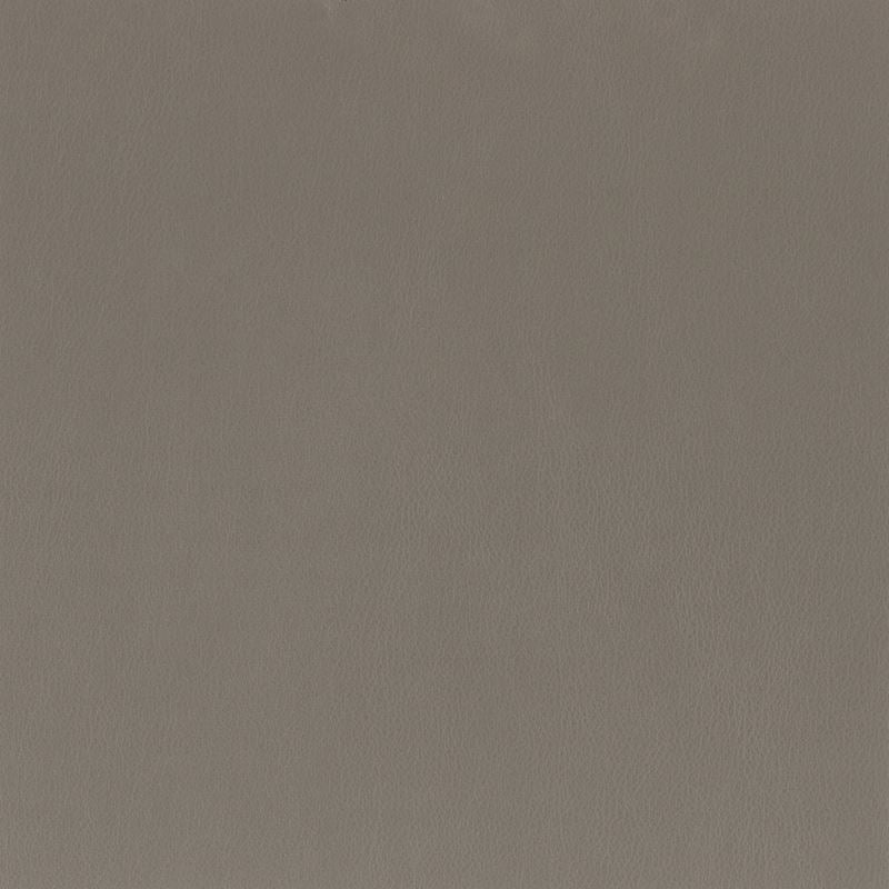 Find INDE-7 Independence Iron grey faux leather by Stout Fabric