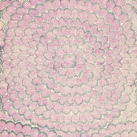 Save on 5006076 Feather Bloom Fuchsia Jet Schumacher Wallpaper