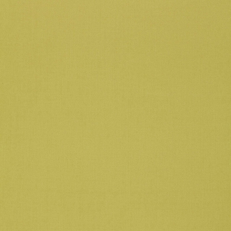 Purchase sample of 64383 Isolde Cotton Weave, Pear by Schumacher Fabric