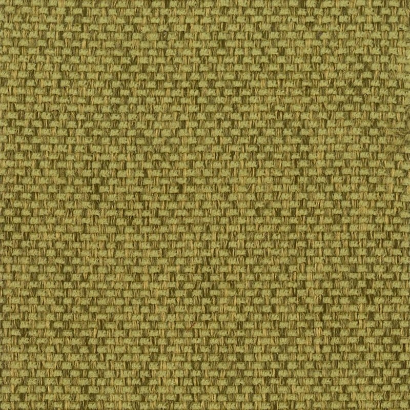 Sample PALI-5 Palisade Seedling by Stout