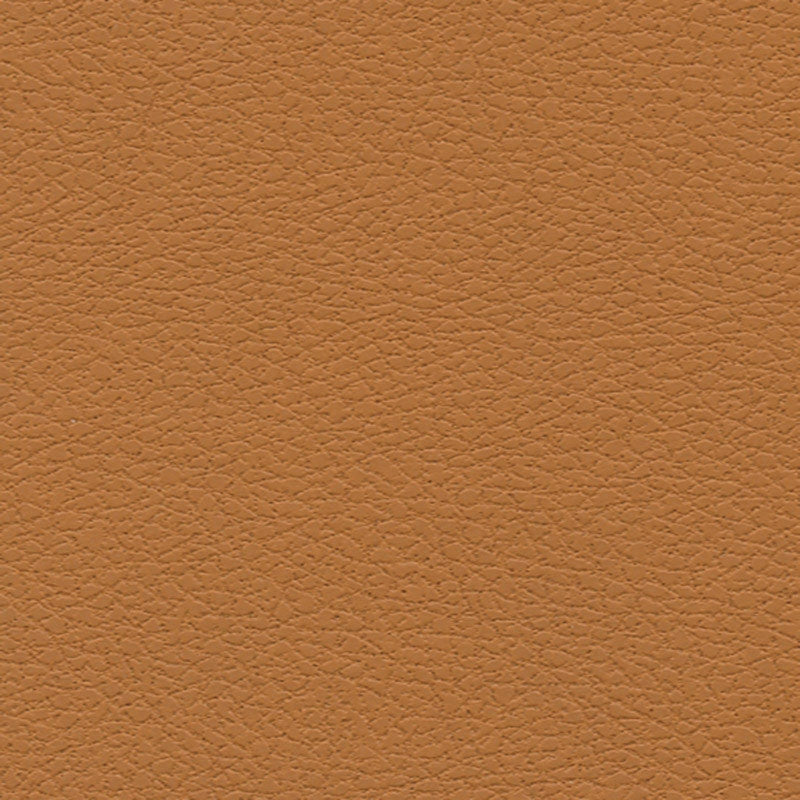 Purchase sample of 303-3823 Brisa, Aztec by Schumacher Fabric