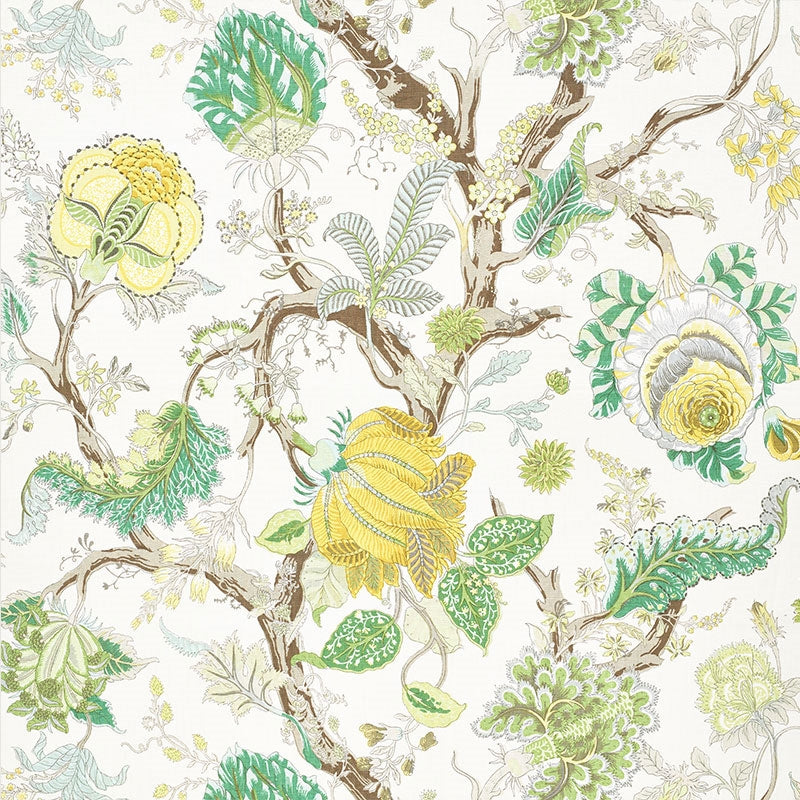 Purchase sample of 175783 Indian Arbre, Citron by Schumacher Fabric