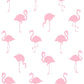 Buy DD138992 Design Department Lovett Pink Flamingo Wallpaper Pink Brewster