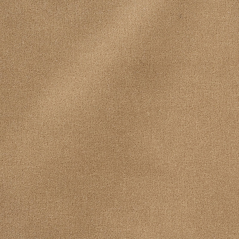 Purchase sample of 64898 San Carlo Mohair Velvet, Doe by Schumacher Fabric