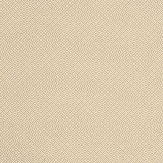 Shop S2139 Chai Neutral Geometric Greenhouse Fabric