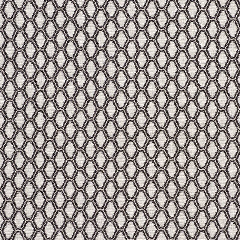 Purchase sample of 73422 Beehive, Graphite by Schumacher Fabric