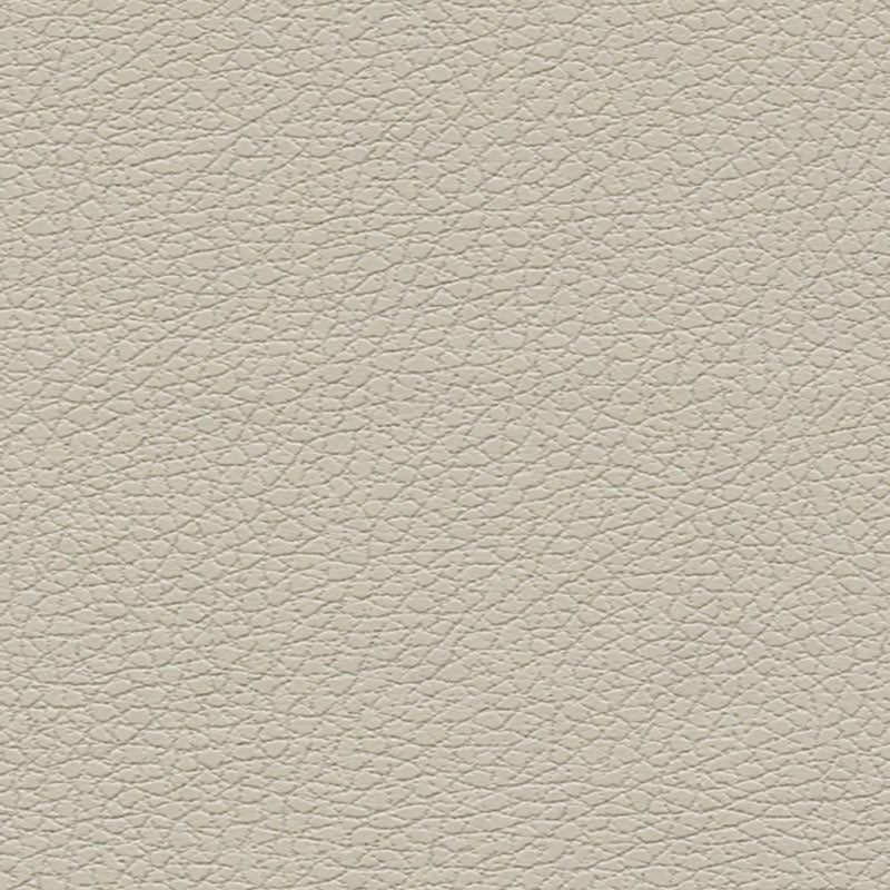 Purchase sample of 303-3822 Brisa, Fog by Schumacher Fabric