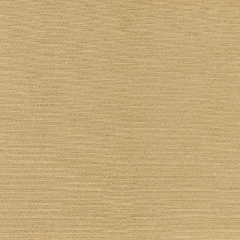Purchase sample of 70942 Lampedusa, Straw by Schumacher Fabric