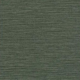 WTN1097.WT.0 Labyrinth Green Solid Winfield Thybony Wallpaper