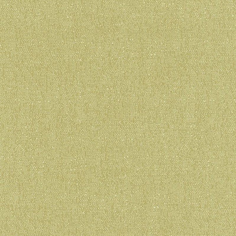 Purchase sample of 62463 Stone Texture, Fern by Schumacher Fabric