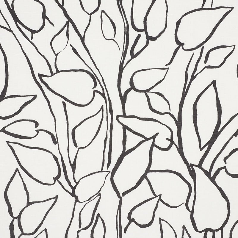 Purchase sample of 178702 Solandra Vine, Black by Schumacher Fabric