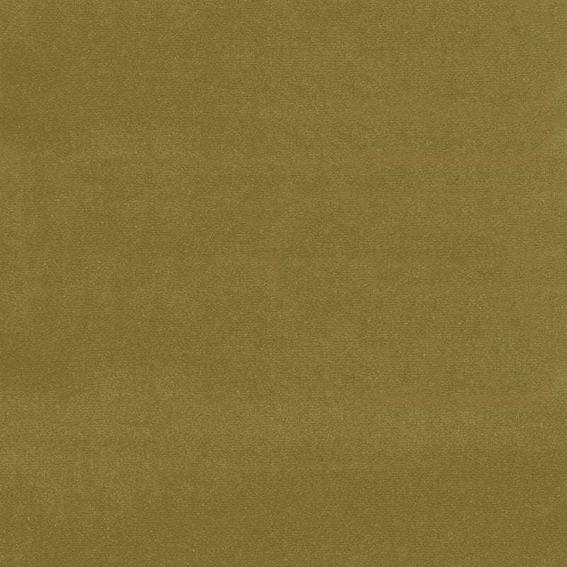 Purchase sample of 43259 Gainsborough Velvet, Sap by Schumacher Fabric