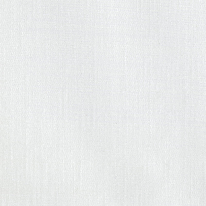 Acquire 2910-87404 Warner Basics V Wilhelmina Off-White 27-in Fabric Backed Liner Wallpaper White by Warner Wallpaper
