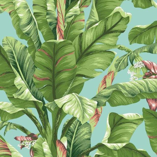 Find AT7070 Ashford Tropics Banana Leaf  color aqua leaf Ashford House Wallpaper