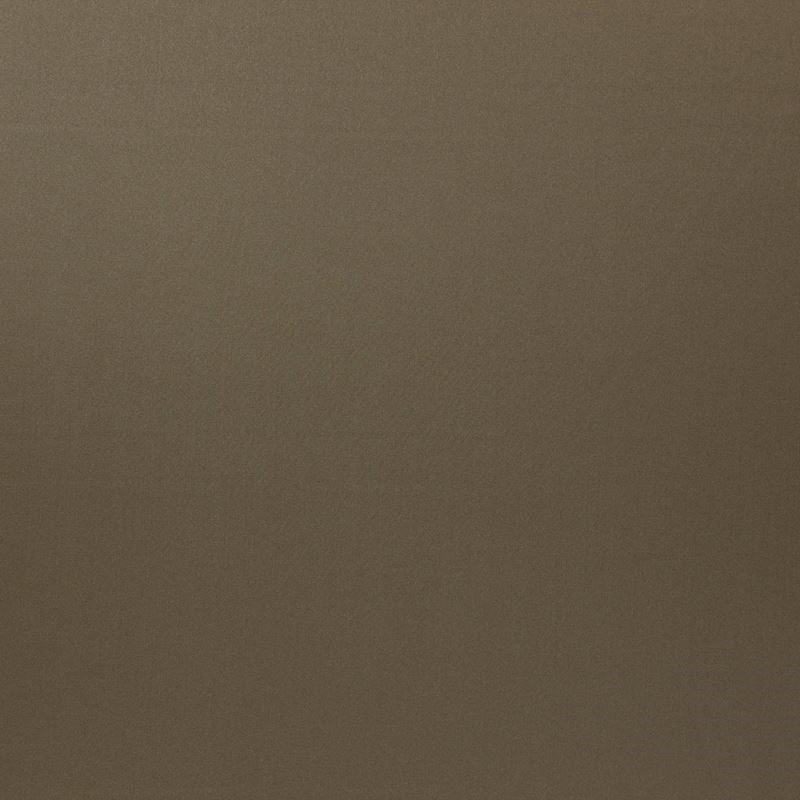 SIM043 | Silky Smooth Squirrel by Maxwell Fabric