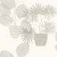 Find 4014-87555 Seychelles Aida Light Grey Potted Plant Wallpaper Light Grey A-Street Prints Wallpaper