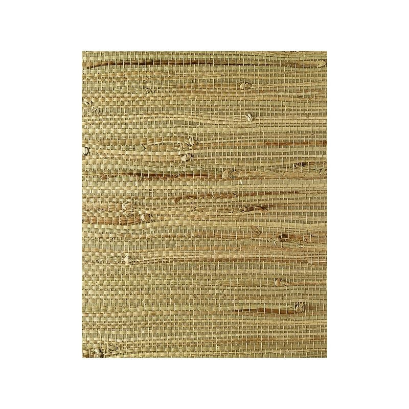 Sample EW3112 East WindsIII by Washington Wallcovering