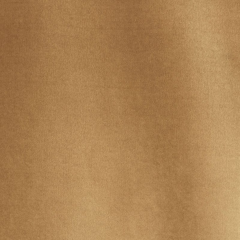 Purchase sample of 70463 Rocky Performance Velvet, Malt by Schumacher Fabric