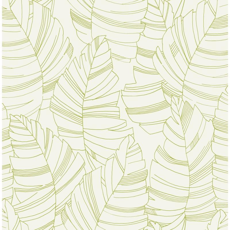 Shop DA61404 Day Dreamers Jungle Leaves Green Apple by Seabrook Wallpaper