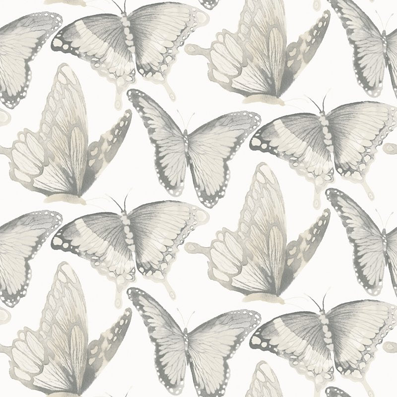 Select 3124-13931 Thoreau Janetta Grey Butterfly Wallpaper Grey by Chesapeake Wallpaper