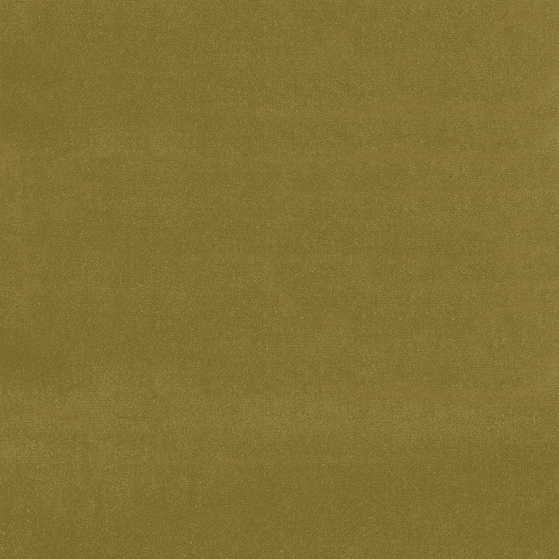 Purchase 43259 Gainsborough Velvet Sap by Schumacher Fabric
