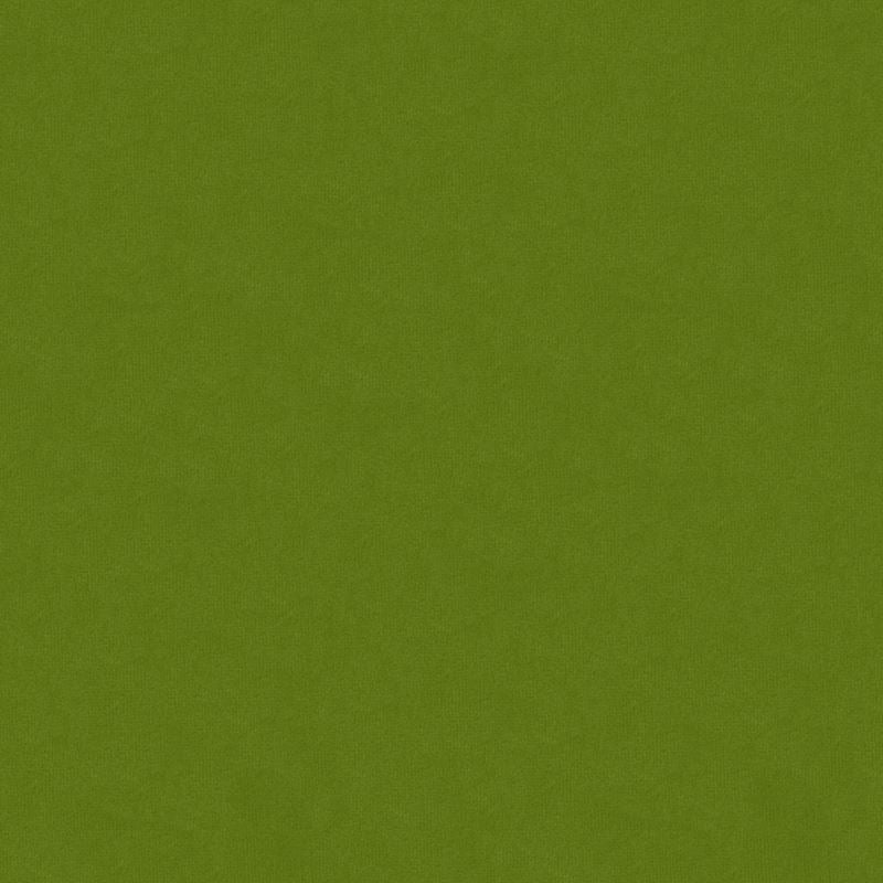 Looking 34205.3.0  Solids/Plain Cloth Green by Kravet Design Fabric