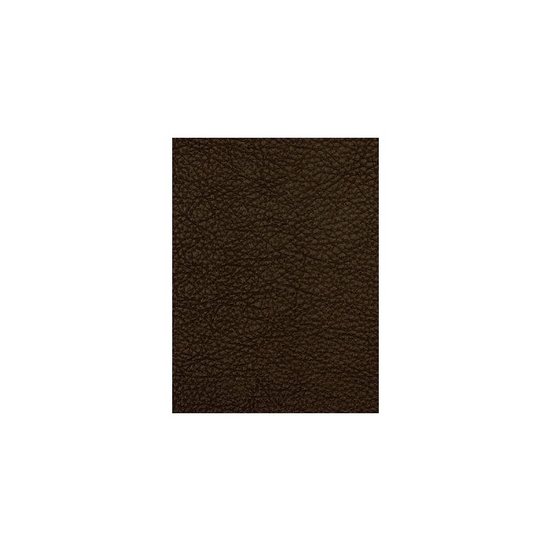 Sample Granular Bison Robert Allen Fabric.
