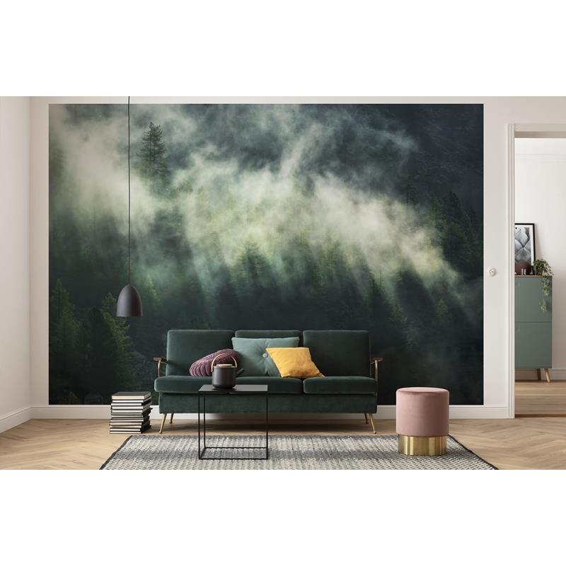 X7-1003 Colours  Misty Crowns Wall Mural by Brewster,X7-1003 Colours  Misty Crowns Wall Mural by Brewster2