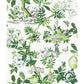 Save SCS3841 Scalamandre Verdance Shantung Garden Scalamandre Self Adhesive Wallpaper Verdance by NuWallpaper