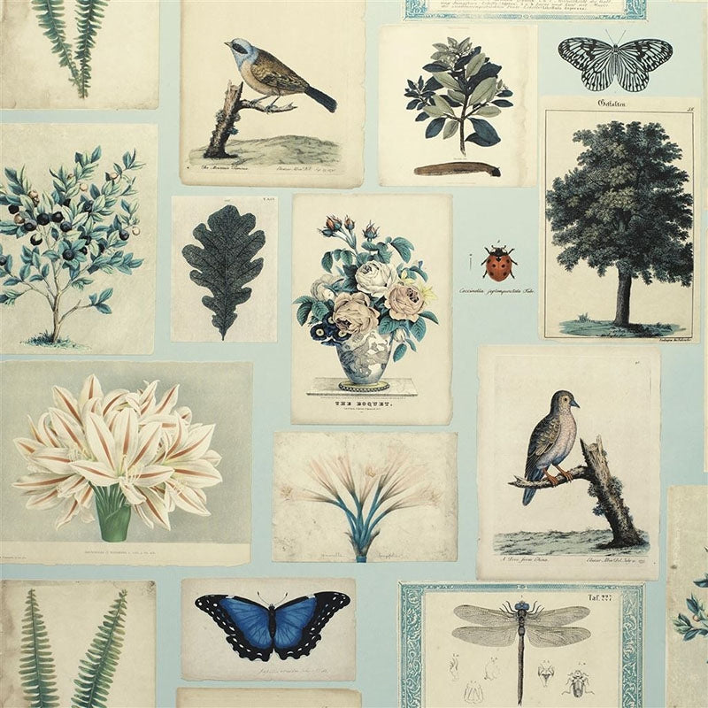 View PJD6001/02 Flora And Fauna Cloud Blue by Designer Guild Wallpaper