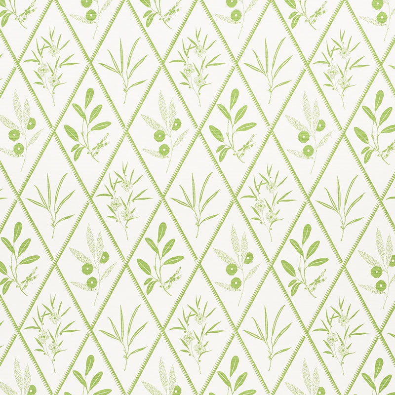 Purchase sample of 177641 Endimione, Leaf by Schumacher Fabric