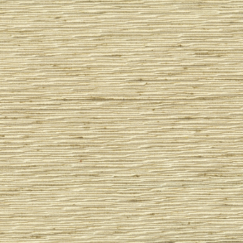 Sample ARRA-1 Brass by Stout Fabric