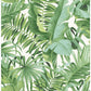 Sample 2969-24136 Pacifica, Alfresco Green Tropical Palm by A-Street Prints Wallpaper