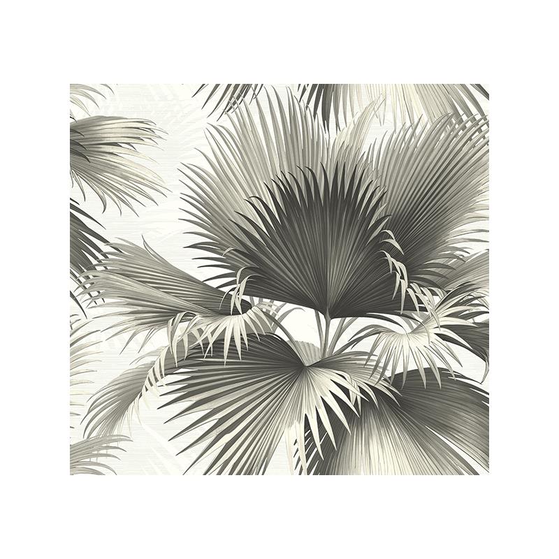 Sample PS40100 Palm Springs, Endless Summer Black Palm by Kenneth James Wallpaper