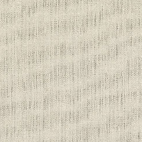 Shop ED85317-104 Stipple Ivory Texture by Threads Fabric