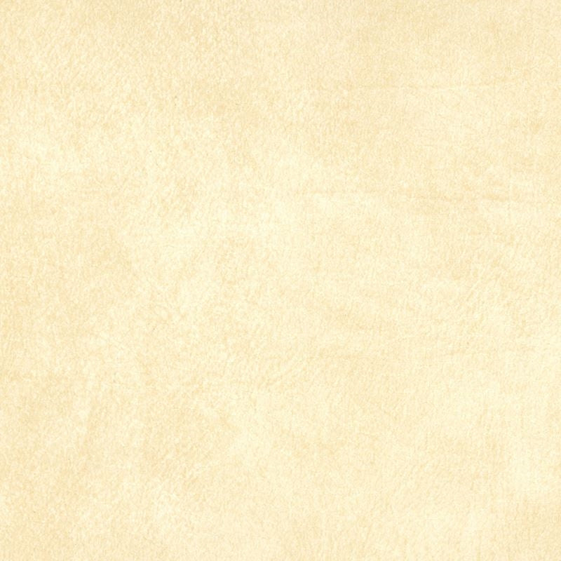 B5194 Allegro Glacier | Contemporary, Vinyl - Greenhouse Fabric