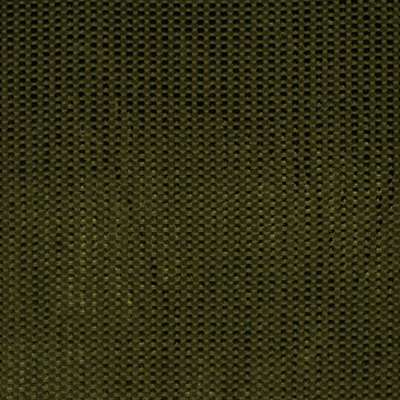 Sample Faina Bonsai Robert Allen Fabric.