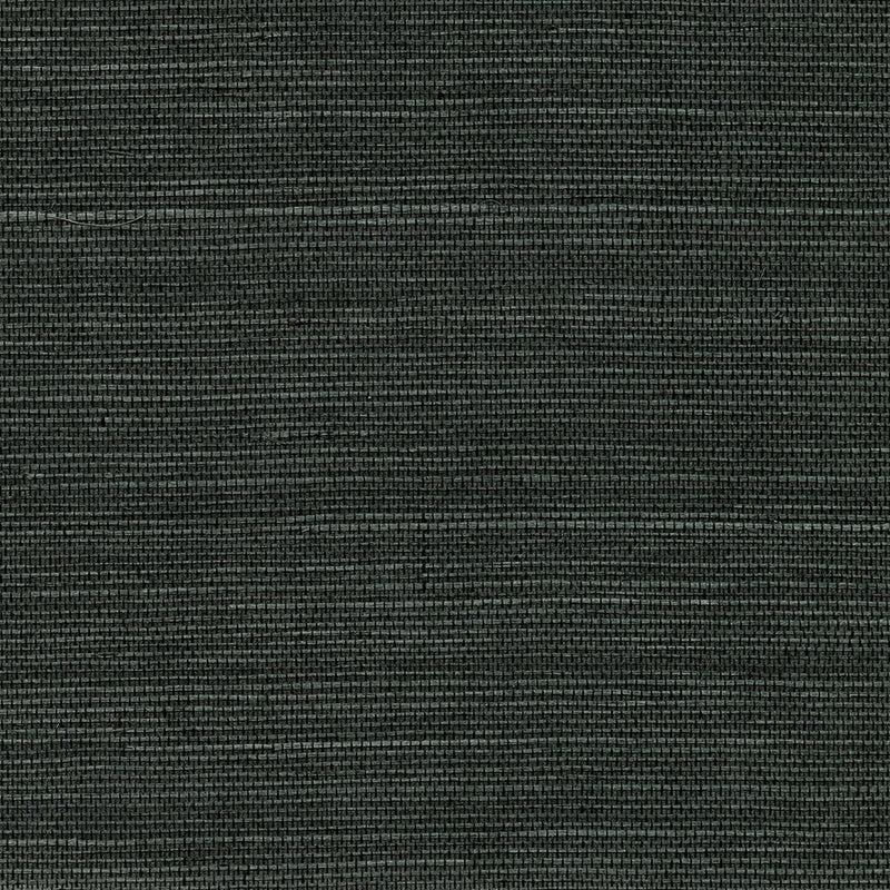 Acquire 2732-80075 Canton Road Kowloon Charcoal Sisal Grasscloth Kenneth James