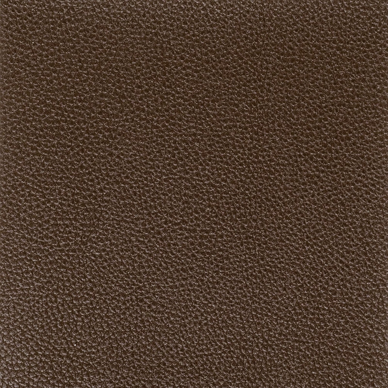 Sample Pitc-2 Pitcher 2 Espresso By Stout Fabric