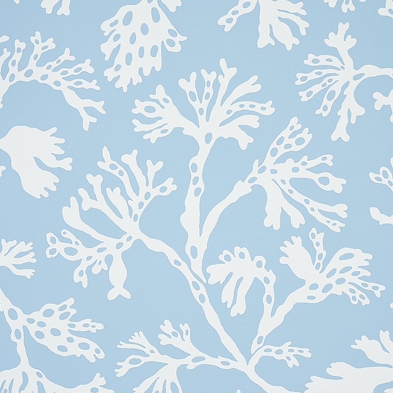 Looking for 5012130 Anthoza Sky Schumacher Wallcovering Wallpaper