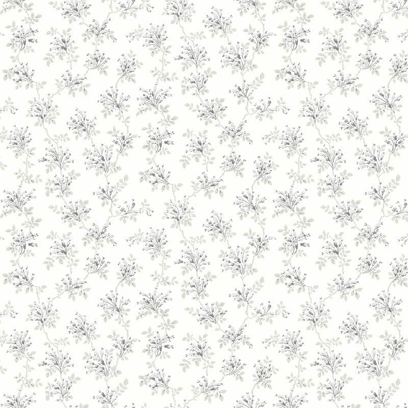 Sample 4072-70040 Delphine, Sofiane Grey Botanical Trail Wallpaper by Chesapeake
