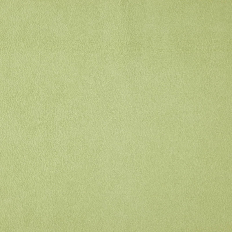 Sample WISDOM 73J7531 by JF Fabric