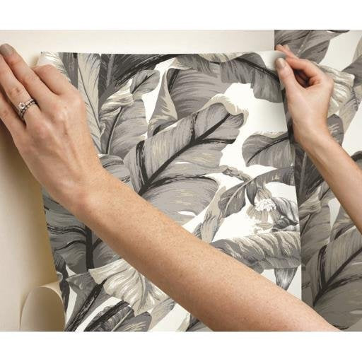 Search Psw1037Rl Tropics Botanical Black Peel And Stick Wallpaper