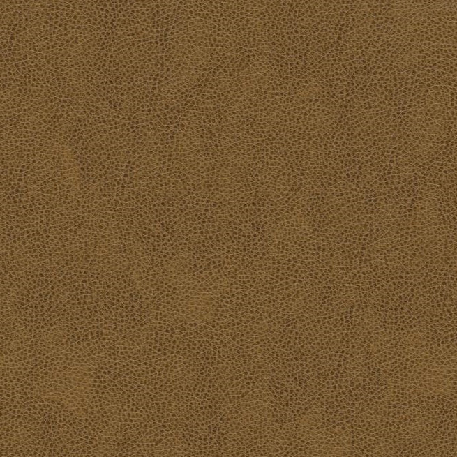 Find BALARA.616.0  Solids/Plain Cloth Brown by Kravet Contract Fabric