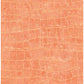 Sample TA20516 Tortuga, Orange/Rust, Animals by Seabrook Wallpaper